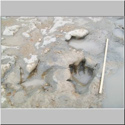 100_0781 (2009-27-07).JPG